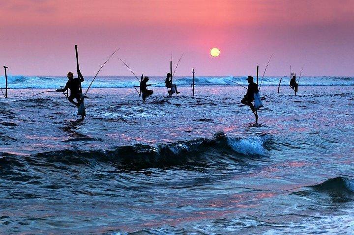 "Galle" One day Private Tour in Sri Lanka