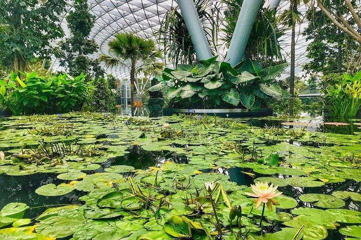 Singapore Changi Jewel Highlights Walking Tour