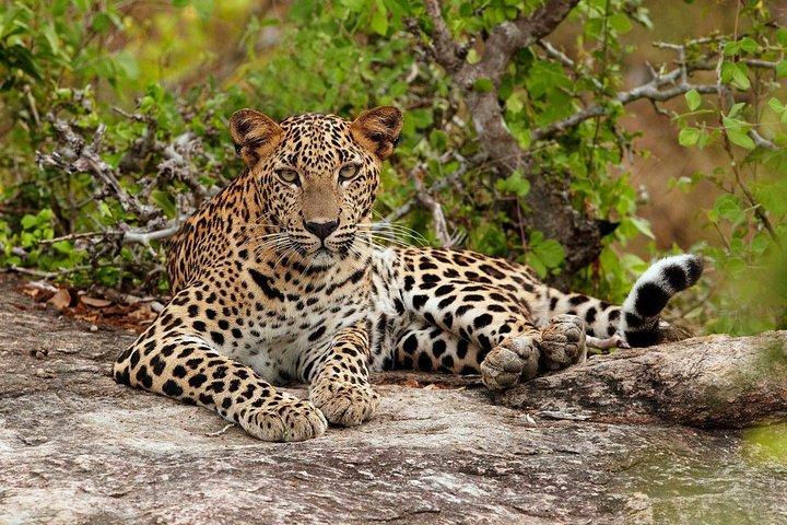 Round Tours,Nature and Wildlife Tours,Culture and Heritage Tours,Adventure Tours