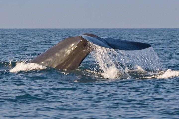 Round Tours,Nature and Wildlife Tours,Culture and Heritage Tours,Adventure Tours