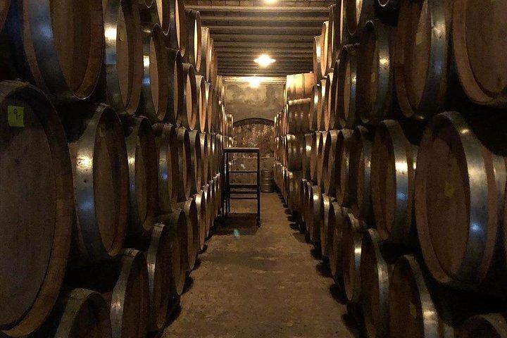 Self-Guided Bike Tour in Luján de Cuyo Wine Region (Mendoza)