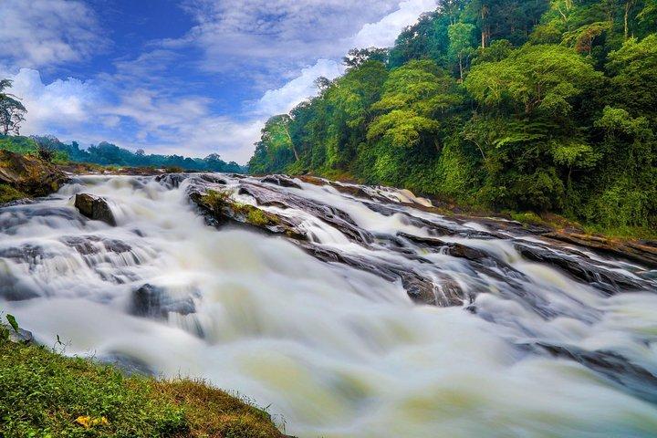 Thrilling Athirapilly: Day Trip From Cochin