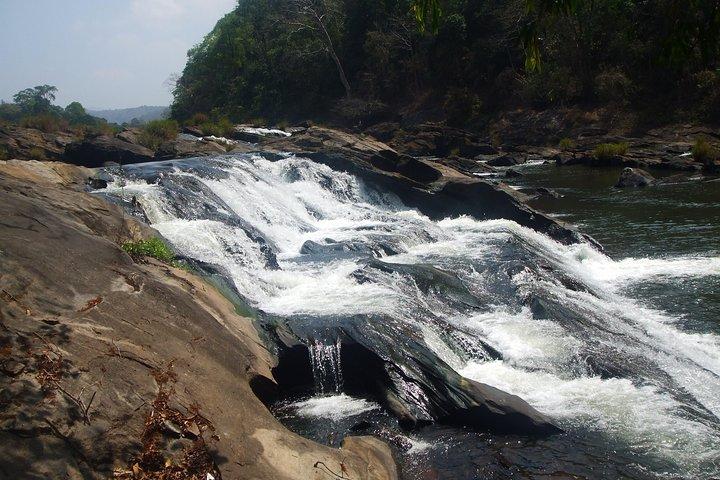 Thrilling Athirapilly: Day Trip From Cochin