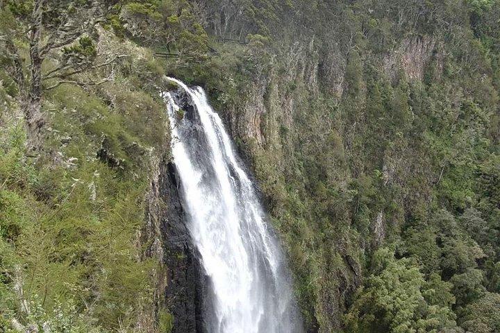 7 Days 6 Nights Aberdares / Lake Nakuru / Masai Mara / Lake Naivasha / Amboseli