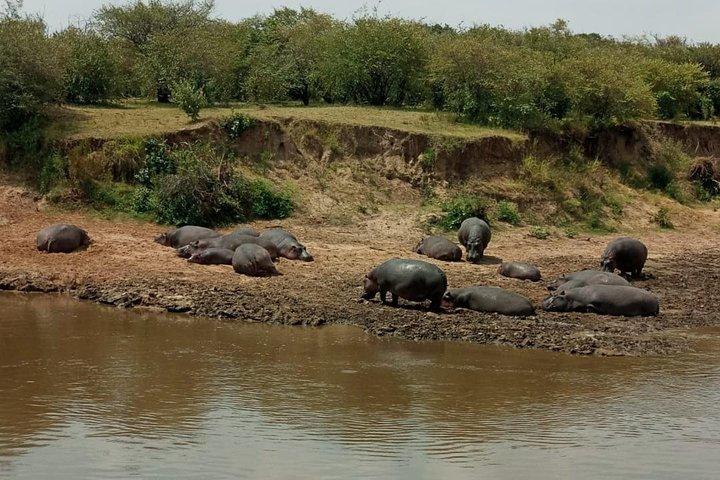 7 Days 6 Nights Aberdares / Lake Nakuru / Masai Mara / Lake Naivasha / Amboseli