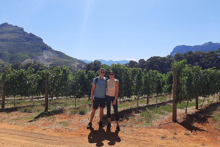 Private Wine Tour of Stellenbosch, Franschhoek and Paarl