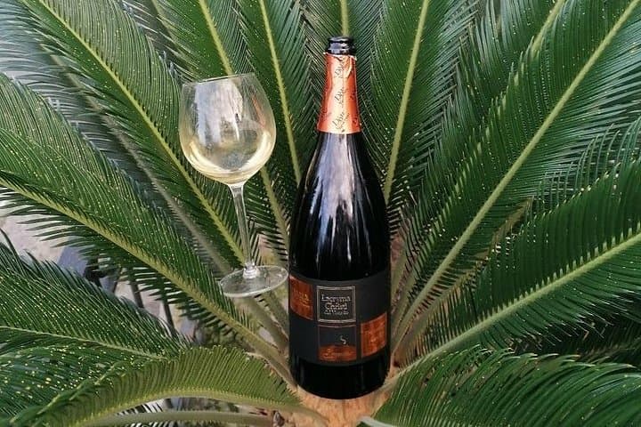 Tour from Naples to Pompeii and Winery