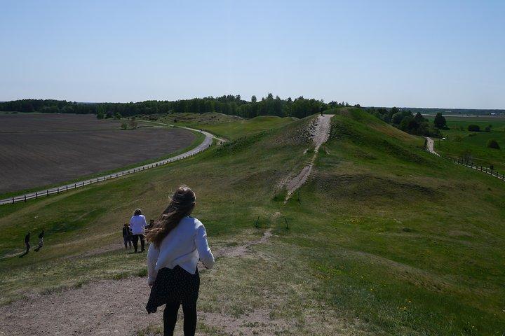 Private Full Day Viking History Tour from Stockholm Including Sigtuna and Uppsala