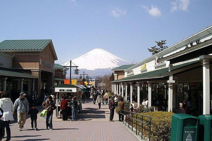 1 Day Family Fun at Fuji with Private Car