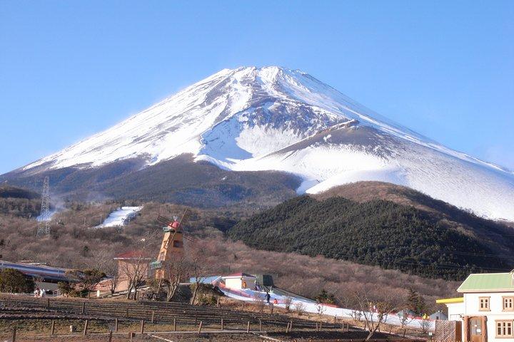 1 Day Family Fun at Fuji with Private Car
