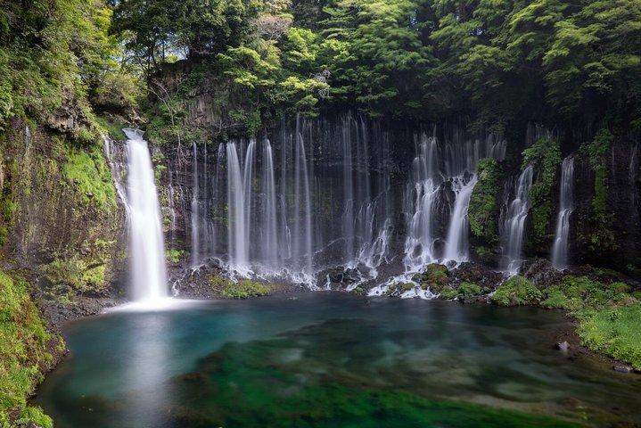 1 Day Family Fun at Fuji with Private Car