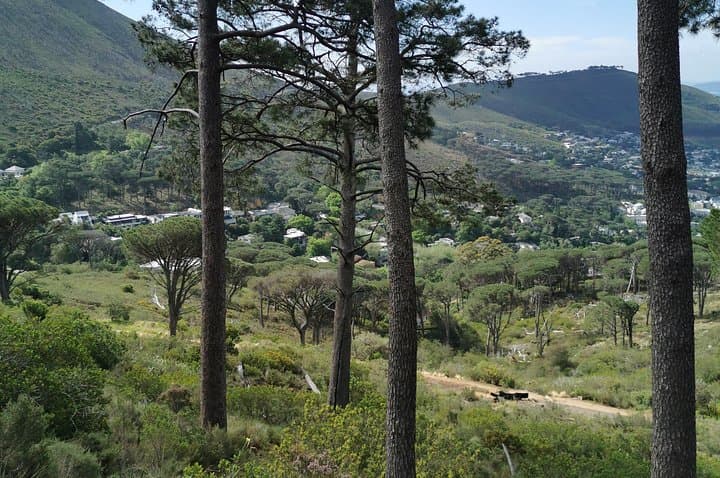 Cape Town City Tour including Lion's head with Wi-Fi on board.