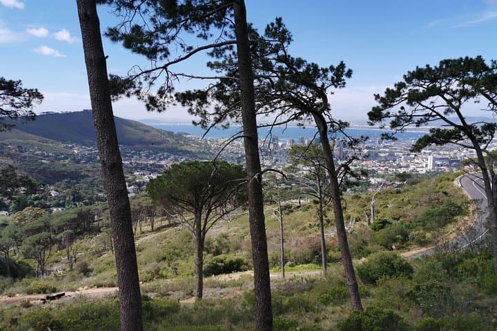 Cape Town City Tour including Lion's head with Wi-Fi on board.