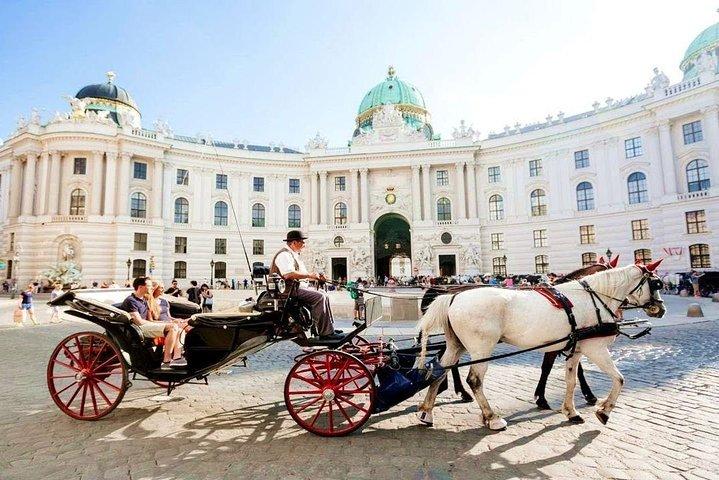 Airport Transfer: Vienna to Vienna Airport VIE by Luxury Car