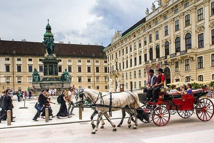 Airport Transfer: Vienna to Vienna Airport VIE by Luxury Car