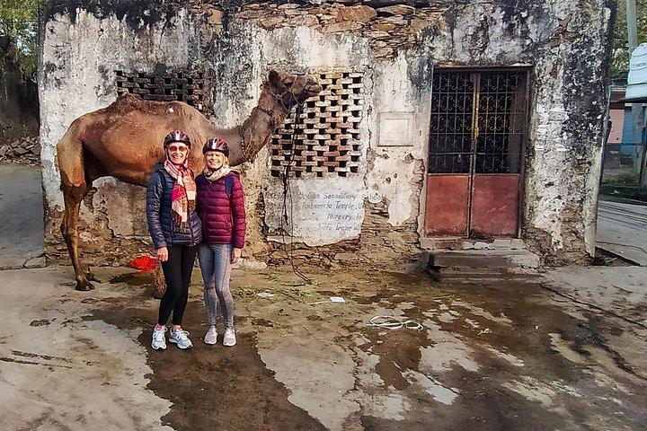 Udaipur Bicycle Tour