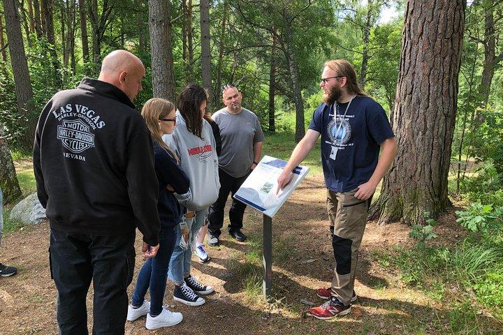 Viking History Small Group Tour from Stockholm: Half Day Including Sigtuna