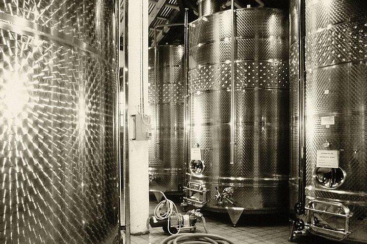 Private Athens Wine Tour For Dedicated Wine Lovers