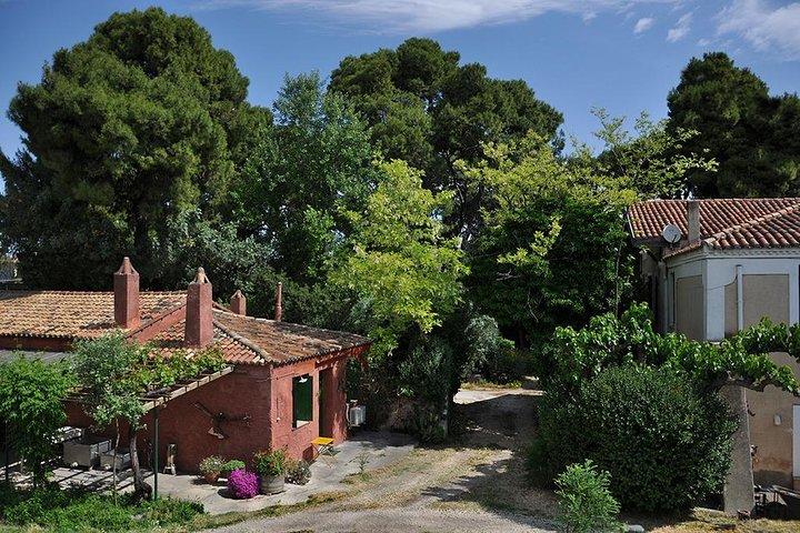 Private Athens Wine Tour For Dedicated Wine Lovers