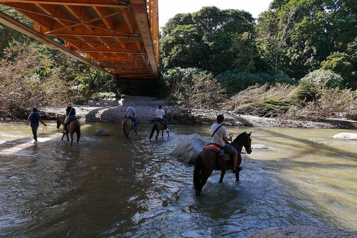 Los Naranjos Beach Horseback Riding Tayrona Park.