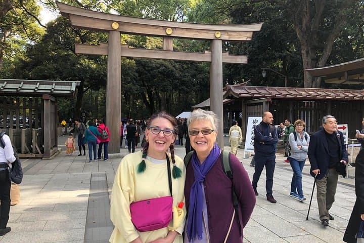 Tokyo 6hr Private Tour with Government-Licensed Guide