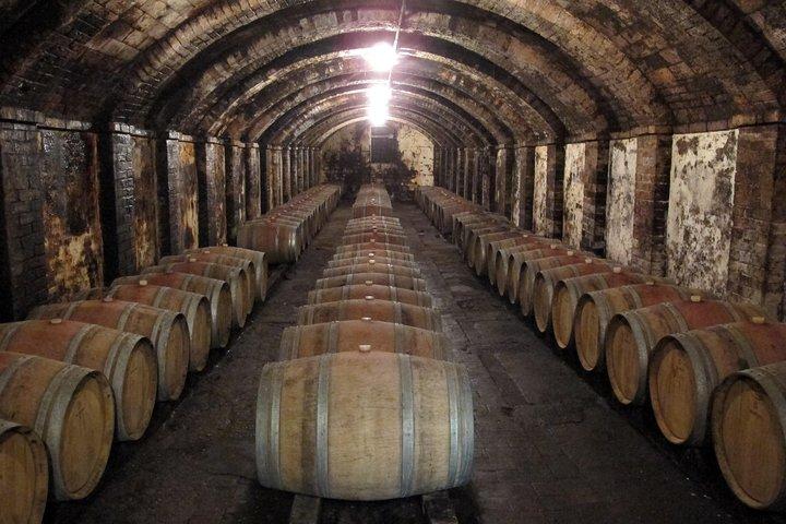 Chianti from Florence:PRIVATE Wine, Olive Oil Tasting in the Tuscan countryside