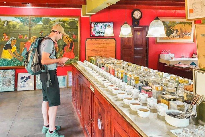 Sea, Sand & Marine Life from Colombo (2 Days)