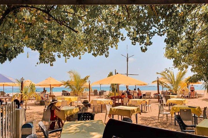 Sea, Sand & Marine Life from Colombo (2 Days)