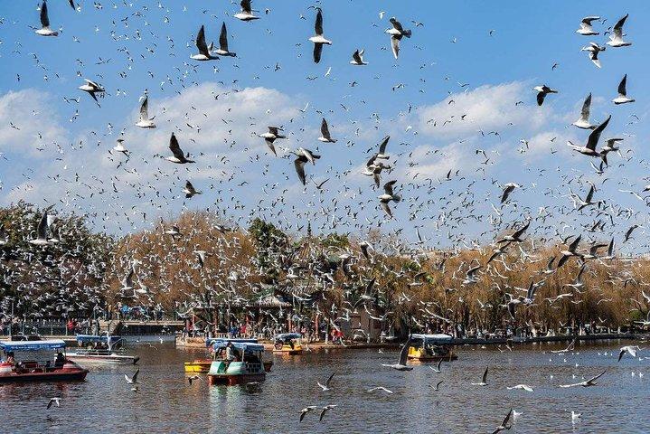 1-Day Kunming tour with the Green Lake,Bird & Flower market and Yuantong Temple