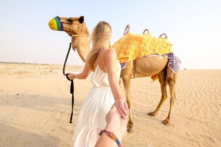Private 4Hours Red Dunes Safari Camel Ride ,Falcon & Dune Thrills