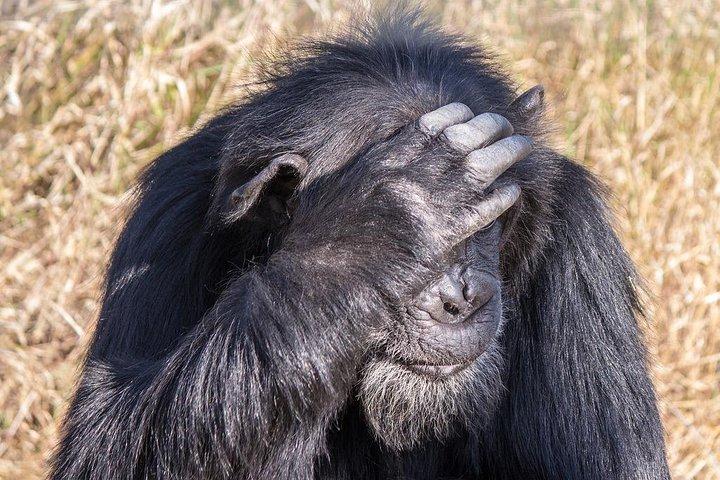 5 Days 4 Nights Mt Kenya, Aberdares, Ol Pejeta Safari