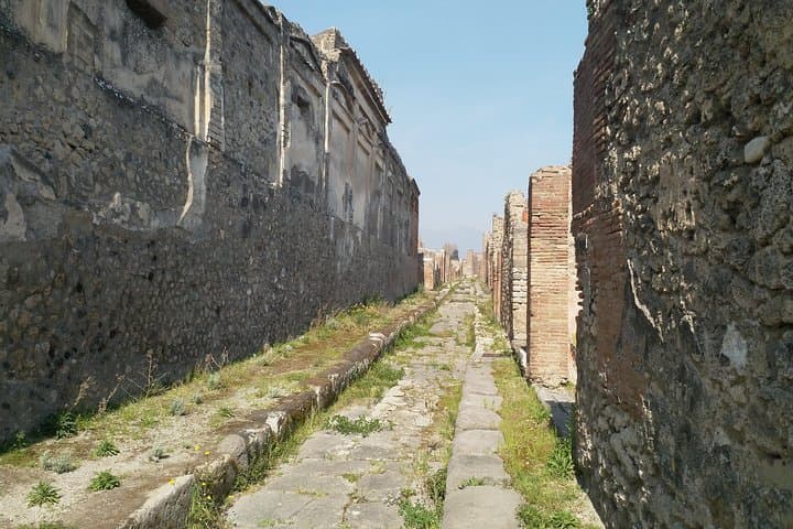 Private Shore Excursion from Naples to Pompeii and Mt Vesuvius for Families