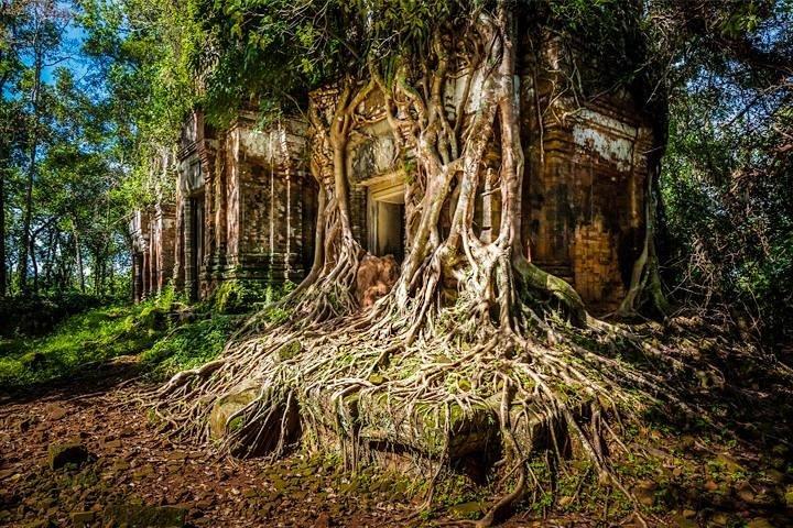 Koh Ker & Beng Mealea Excursion Join-in Tour - Free Hotel Pickup