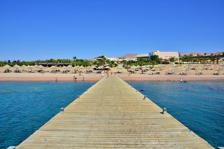 Glass Boat & Snorkeling with day use of Berenice Beach Club