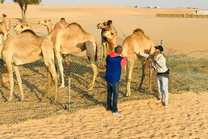 Sunrise Desert Safari with Quad bike and Sandboarding,