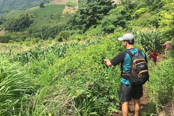 Wet & Wild: Hike to Tamanique Waterfalls + Lunch at Surf City