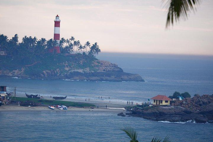 7 nights Private tour Cochin/Munnar/Thekkady/Houseboat/Kovalam