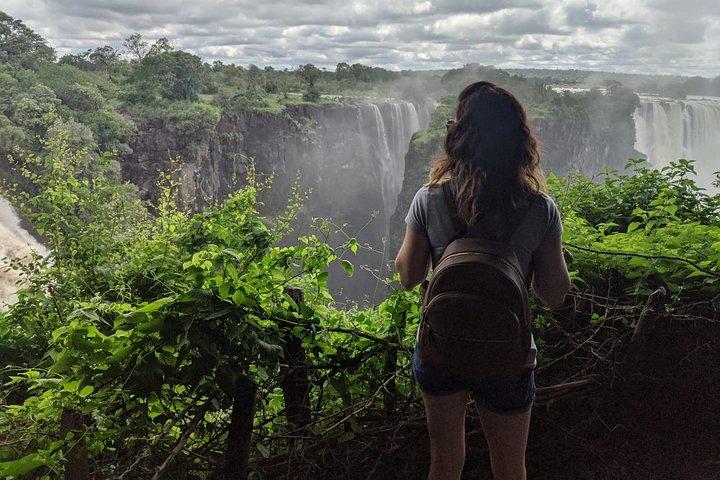 Victoria Falls Dual-Side Day Trip from Kasane Zimbabwe & Zambia