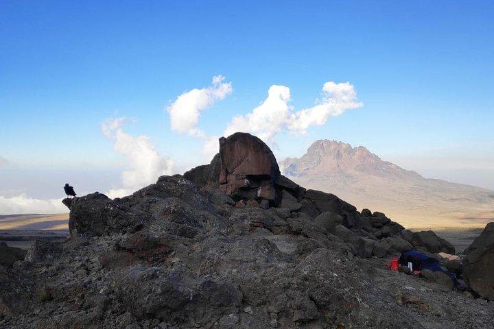 Mt Kilimanjaro Climbing – 7 Days Machame Route
