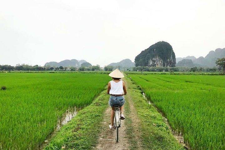 Ninh Binh: Hoa Lu, Tam Coc & Mua Cave Day Trip from Hanoi