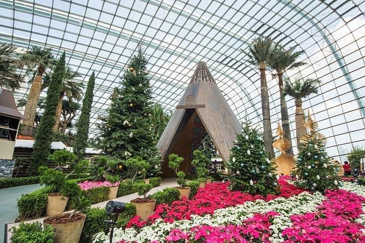 Gardens By The Bay E Tickets