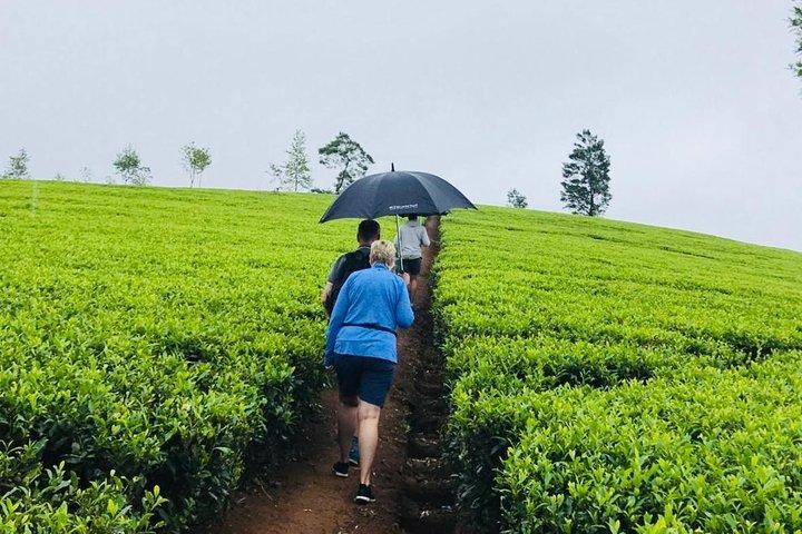 Sri Lanka highlights in 6 days