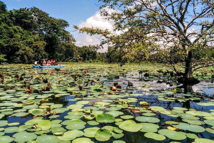 10 Days Tour in Sri Lanka Hotels with Breakfast