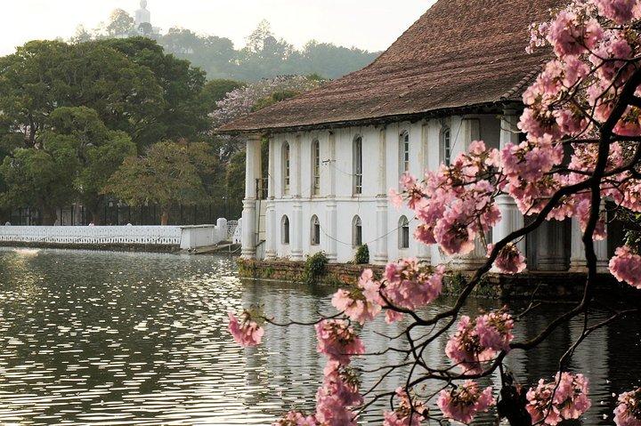 10 Days Tour in Sri Lanka Hotels with Breakfast