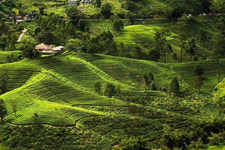 10 Days Tour in Sri Lanka Hotels with Breakfast
