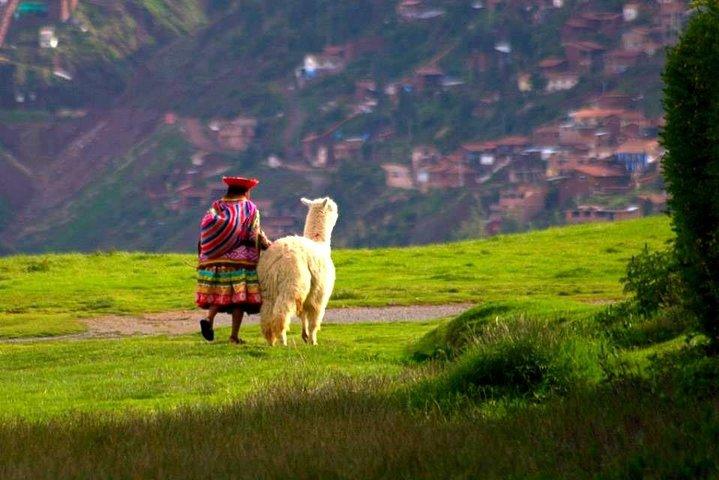 Cusco City Tour - Group Service