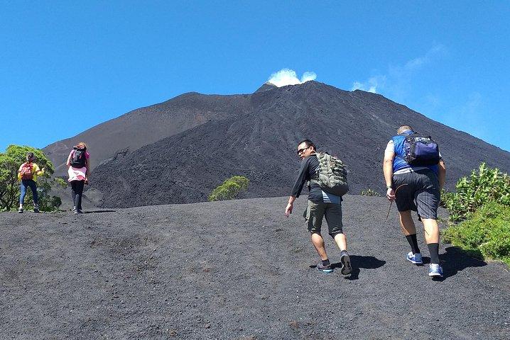Pacaya Volcano Half Day Tour