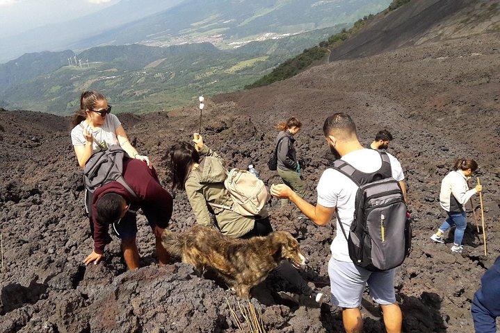 Pacaya Volcano Half Day Tour