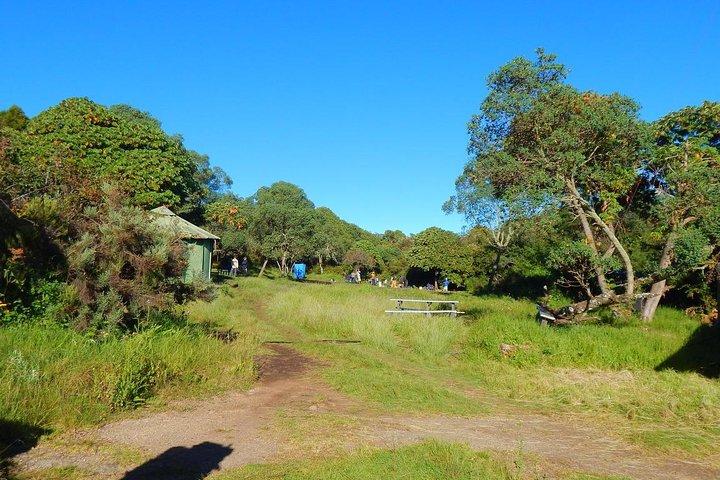 Mt Kilimanjaro Climbing – 7 Days Machame Route
