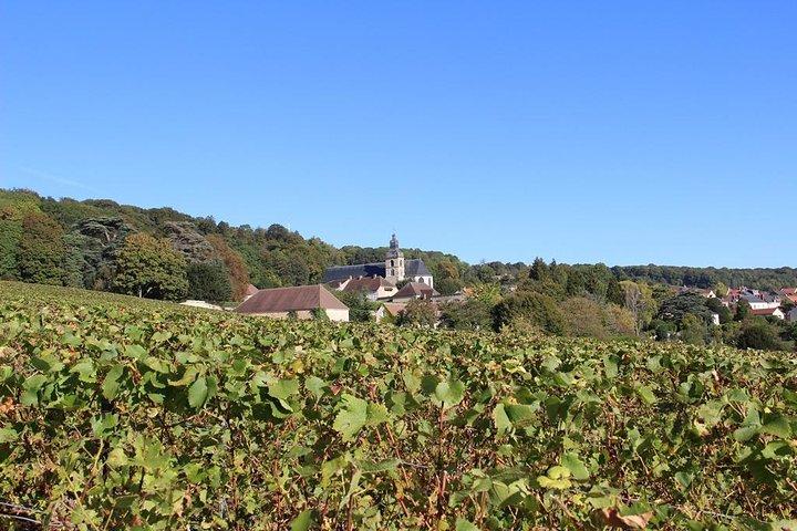 Private Full-Day Tour of Champagne Region